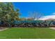 Spacious backyard featuring a custom sea-life mural, artificial turf and rock landscaping at 12109 N 127Th Dr, El Mirage, AZ 85335