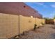 Property perimeter defined by block wall with mature landscaping, and access gate at 1554 E Kings Ct, Gilbert, AZ 85234