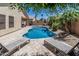 Gorgeous backyard pool area with pavers, lounge chairs, and beautiful landscaping at 16675 W Taylor St, Goodyear, AZ 85338