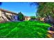 Green backyard with mature trees offering a relaxing and private outdoor space at 1681 S Karen Dr, Chandler, AZ 85286