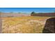 Large backyard with dirt and straw with a concrete wall for maximum privacy at 17344 W Red Fox Rd, Surprise, AZ 85387