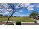 Expansive community grassy field for various activities, surrounded by pathways and mature trees at 18219 W La Senda Dr, Surprise, AZ 85387