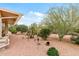 Desert-style backyard with thoughtful landscaping, featuring a variety of mature trees, plants, and decorative elements at 20450 N Shadow Mountain Dr, Surprise, AZ 85374