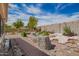 Large landscaped backyard featuring brick accents, desert landscaping, and mature trees at 29399 N 67Th Ave, Peoria, AZ 85383