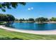 Scenic pond view with lush landscaping, walking path, and blue skies above at 3067 E Trigger Way, Gilbert, AZ 85297