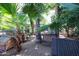 Backyard with mature landscaping including palm trees, dog houses and a seesaw at 4142 N 35Th St, Phoenix, AZ 85018
