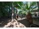 Backyard with mature landscaping featuring a wooden dog house next to a mature tree at 4142 N 35Th St, Phoenix, AZ 85018