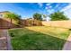 Well-maintained backyard featuring a green lawn, block wall, and thoughtfully placed landscaping for added privacy at 4580 E Gagarinite Ln, San Tan Valley, AZ 85143