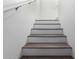 Minimalist staircase design with white risers and dark wood treads at 4580 E Gagarinite Ln, San Tan Valley, AZ 85143