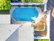 Aerial view of a private backyard pool surrounded by lush landscaping at 4596 E Calle Ventura --, Phoenix, AZ 85018