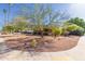 Welcoming front yard with desert landscaping, mature trees, and a cozy curb appeal at 4804 S Elm St, Tempe, AZ 85282