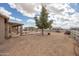 Sprawling backyard with decorative rocks and a mature shade tree under a partially cloudy sky at 10539 W Tamara Dr, Casa Grande, AZ 85193