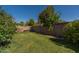 Lush backyard with green grass and mature trees, offering a serene outdoor retreat at 1109 E San Pedro Ave, Gilbert, AZ 85234