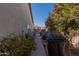 Narrow side yard of home with block wall, storage, and mature trees at 1109 E San Pedro Ave, Gilbert, AZ 85234