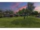 Lush backyard featuring a well-maintained lawn, mature trees, and privacy wall at 14110 W White Rock Dr, Sun City West, AZ 85375