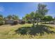 A spacious backyard with mature trees, shrubs, and a brick perimeter wall at 14110 W White Rock Dr, Sun City West, AZ 85375