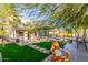 Expansive backyard features lush lawn, mature trees, pool and deck with comfortable seating and outdoor kitchen at 1421 W Saltsage Dr, Phoenix, AZ 85045