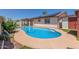 Sparkling backyard swimming pool with patio, green grass and solar panels at 2003 W Tyson St, Chandler, AZ 85224