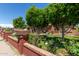 Landscaped front yard featuring brick trim, flowerbeds and green grass at 2207 N 53Rd Ave, Phoenix, AZ 85035