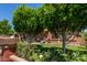 Charming home featuring a well-maintained front yard with mature trees and lush greenery at 2207 N 53Rd Ave, Phoenix, AZ 85035
