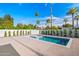 Inviting pool with blue tile accents, complemented by a well-maintained yard and palm trees at 4107 E Edgemont Ave, Phoenix, AZ 85008