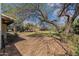 Spacious backyard featuring mature shade trees and a serene seating area, perfect for outdoor enjoyment at 6418 E Sunnyside Dr, Scottsdale, AZ 85254