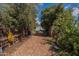 Long gravel driveway leading to a backyard shed, surrounded by mature trees and greenery at 6418 E Sunnyside Dr, Scottsdale, AZ 85254
