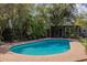 Inviting pool with blue tile detail, complemented by lush landscaping and a serene backyard ambiance at 6418 E Sunnyside Dr, Scottsdale, AZ 85254