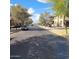 Quiet street showcasing well-maintained homes, mature trees, and a peaceful neighborhood setting at 6908 S 8Th Dr, Phoenix, AZ 85041