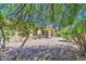 A cozy backyard featuring gravel ground cover and natural shade from a mesquite tree at 6941 E Snowdon St, Mesa, AZ 85207