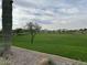 Beautiful green space with desert plants, walking path, and mountain views at 7703 W Saddlehorn Rd, Peoria, AZ 85383