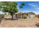 The backyard features a large tree providing shade, and direct access to a covered patio at 908 S Kachina --, Mesa, AZ 85204