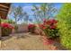 Bright gravel backyard with flowering bushes, offering a colorful and low-maintenance outdoor space at 11775 E Becker Ln, Scottsdale, AZ 85259