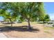 Lush community park with mature trees, offering a serene and natural environment at 17710 W Buena Vista Dr, Surprise, AZ 85374