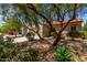 Charming home with desert landscaping featuring multiple desert plants and large shade tree at 19963 N Window Rock Dr, Surprise, AZ 85374