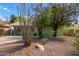 Charming green ranch-style home with desert landscaping and mature trees in a peaceful neighborhood at 2231 E Weldon Ave, Phoenix, AZ 85016