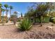 Inviting home exterior with desert landscaping including mature trees and desert foliage at 2231 E Weldon Ave, Phoenix, AZ 85016