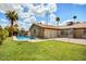Inviting backyard with a refreshing pool, well-maintained lawn, and lush palm trees for privacy at 2846 E Lupine Ave, Phoenix, AZ 85028