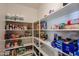Organized pantry featuring ample shelving, maximizing storage for kitchen essentials at 2886 E Hazeltine Way, Chandler, AZ 85249