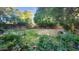 Large backyard featuring mature trees and lush landscaping at 29740 N 121St Ave, Peoria, AZ 85383