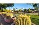 View of the community pickleball court with landscaping and cacti in pots in a row near the path at 29740 N 121St Ave, Peoria, AZ 85383