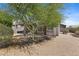 Spacious backyard featuring mature trees, a covered patio, and desert landscaping at 3544 N Paseo Del Sol --, Mesa, AZ 85207