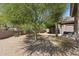 Well-maintained backyard featuring desert landscaping, mature trees, and a covered patio for outdoor enjoyment at 3544 N Paseo Del Sol --, Mesa, AZ 85207