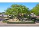 Lush front yard featuring mature trees and manicured landscaping, highlighting curb appeal at 6648 E Horseshoe Rd, Paradise Valley, AZ 85253
