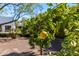Lush greenery featuring blooming citrus tree with a view of the house in the background at 6648 E Horseshoe Rd, Paradise Valley, AZ 85253