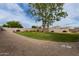 Well-maintained backyard with a lush green lawn, gravel section, and mature trees providing a peaceful outdoor retreat at 1043 N 90Th Cir, Mesa, AZ 85207