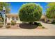Charming single-story home with manicured landscaping, a two-car garage, and a classic street lamp at 13134 W Los Bancos Ct, Sun City West, AZ 85375