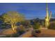 A landscaped yard with desert views showcases the beauty of the surrounding area at 1401 E Boulder Pass Pass, Carefree, AZ 85377