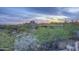 A Southwestern-style home nestled within desert vegetation at 1401 E Boulder Pass Pass, Carefree, AZ 85377