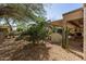 Landscaped backyard features a covered patio, gravel groundcover, and mature trees for shade and privacy at 15797 W Cinnabar Dr, Surprise, AZ 85374
